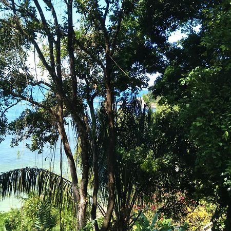 モロ・デ・サンパウロ Casa Shuhariヴィラ エクステリア 写真